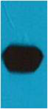 mStrawberry Mouse Polyclonal Antibody