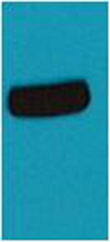 AmCyan Rabbit Polyclonal Antibody