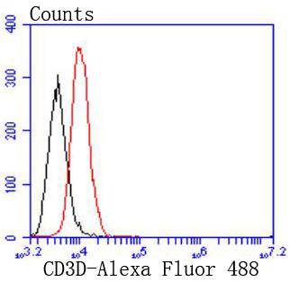 CD3D Antibody
