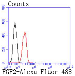FGF2 Antibody
