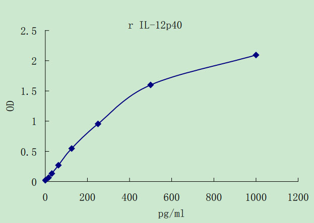 Rat IL-12p40 ELISA KIT