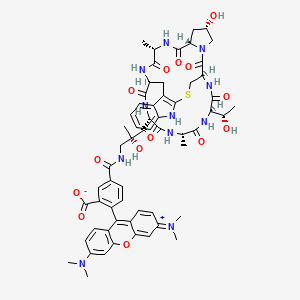 Chemical structure of ((R)-4-Hydroxy-4-methyl-Orn(5-TAMRA)⁷)-Phalloidin