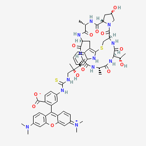 Chemical structure of ((R)-4-Hydroxy-4-methyl-Orn(TRITC)⁷)-Phalloidin