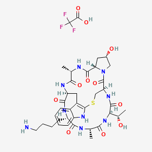 Chemical structure of (Lys⁷)-Phalloidin