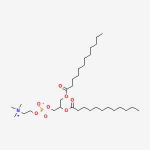 Chemical structure of 1,2-Dilauroylphosphatidylcholine