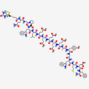 Chemical structure of Biotinyl-(Gln¹)-Gastrin I (human)