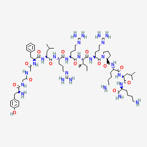 Chemical structure of Dynorphin A (1-13) amide