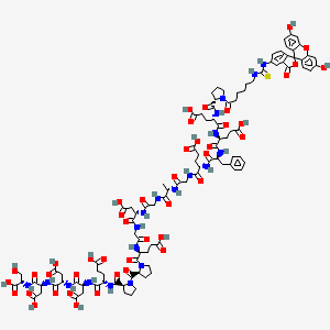 Chemical structure of FITC-εAhx-HHV-2 Envelope Glycoprotein G (561-578)