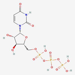 Chemical structure of Ara-UTP