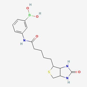 Chemical structure of Biotinyl-phenylboronic acid