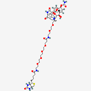 Chemical structure of Geldanamycin-biotin