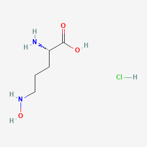 Chemical structure of (S)-2-amino-5-(hydroxyamino)pentanoic acid hydrochloride