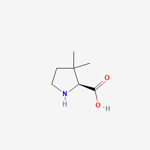 Chemical structure of 3,3-Dimethyl-L-proline