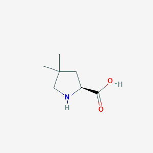Chemical structure of (S)-4,4-dimethylpyrrolidine-2-carboxylic acid