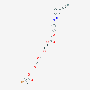 Chemical structure of (E)-14-(4-((3-Ethynylphenyl)diazenyl)phenoxy)-13-oxo-3,6,9,12-tetraoxatetradecyl 2-bromo-2-methylpropanoate
