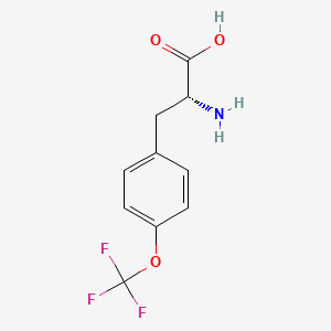 Chemical structure of (R)-2-Amino-3-(4-(trifluoromethoxy)phenyl)propanoic acid