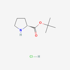 Chemical structure of (R)-tert-Butyl pyrrolidine-2-carboxylate hydrochloride