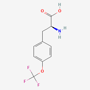 Chemical structure of (S)-2-Amino-3-(3-(trifluoromethoxy)phenyl)propanoic acid
