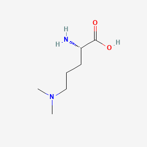 Chemical structure of N,N-Dimethylornithine
