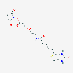 Chemical structure of 2,5-Dioxopyrrolidin-1-yl 3-(2-(5-(2-oxohexahydro-1H-thieno[3,4-d]imidazol-4-yl)pentanamido)ethoxy)propanoate