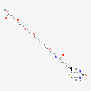 Chemical structure of Biotin-PEG5-CH2CH2COOH