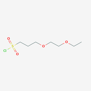 Chemical structure of 3-(2-Ethoxyethoxy)propane-1-sulfonyl chloride