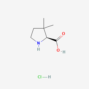 Chemical structure of 3,3-Dimethylpyrrolidine-2-carboxylic acid hydrochloride