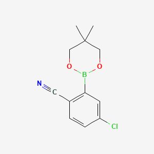 Chemical structure of 4-Chloro-2-(5,5-dimethyl-1,3,2-dioxaborinan-2-yl)benzonitrile