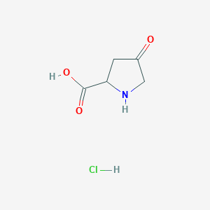 Chemical structure of 4-Oxopyrrolidine-2-carboxylic acid hydrochloride
