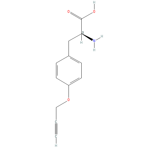Chemical structure of 4-Propargyloxy-L-phenylalanine