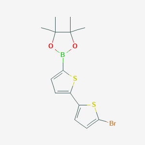 Chemical structure of 5-Bromo-5'-(4,4,5,5-tetramethyl-1,3,2-dioxaborolan-2-yl)-2,2'-bithiophene