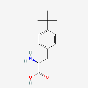 Chemical structure of H-Phe(4-tBu)-OH