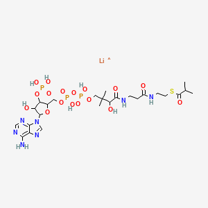 Chemical structure of Isobutyryl coenzyme A lithium salt