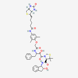 Chemical structure of KNI-1293 Biotin