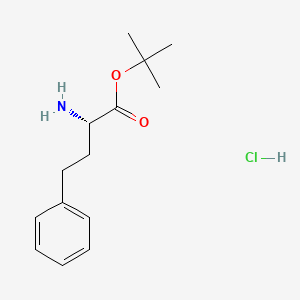Chemical structure of L-Homophenylalanine tert-Butyl Ester Hydrochloride