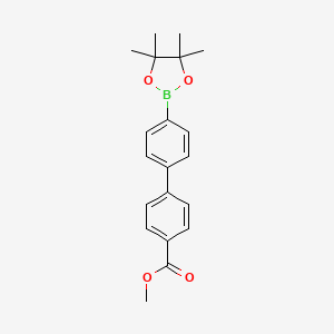 Chemical structure of Methyl 4-[4-(tetramethyl-1,3,2-dioxaborolan-2-yl)phenyl]benzoate