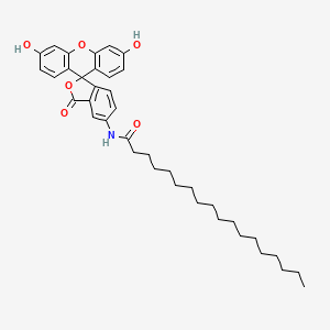 Chemical structure of N-(3',6'-Dihydroxy-3-oxo-3H-spiro[isobenzofuran-1,9'-xanthen]-5-yl)stearamide