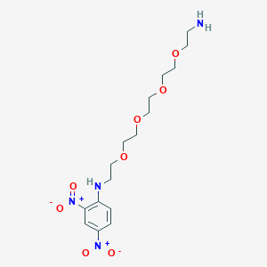 Chemical structure of N1-(2,4-Dinitrophenyl)-3,6,9,12-tetraoxatetradecane-1,14-diamine