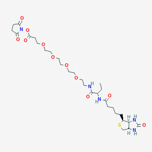 Chemical structure of NHS-PEG4-biotinidase resistant biotin