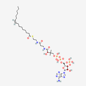 Chemical structure of palmitoleoyl-CoA