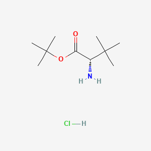 Chemical structure of tert-Butyl (S)-2-amino-3,3-dimethylbutanoate hydrochloride
