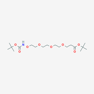 Chemical structure of Boc-aminoxy-peg3-t-butyl ester