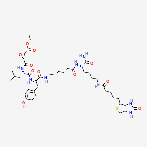 Chemical structure of DCG04