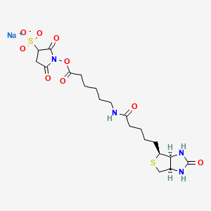 Chemical structure of Sulfo-NHS-LC-Biotin sodium