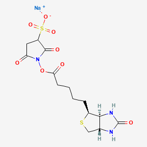 Chemical structure of Sulfo-NHS-Biotin