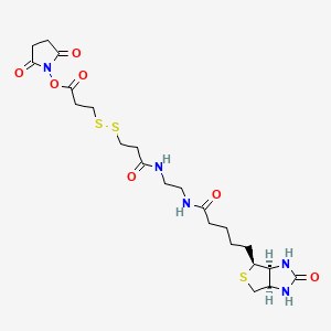 Chemical structure of NHS-SS-11-Biotin