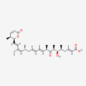Chemical structure of Leptomycin B