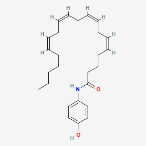 Chemical structure of AM 404