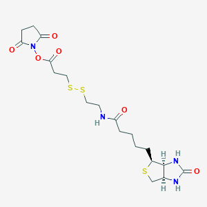 Chemical structure of NHS-SS-Biotin