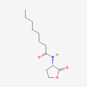 Chemical structure of N-octanoyl-L-Homoserine lactone